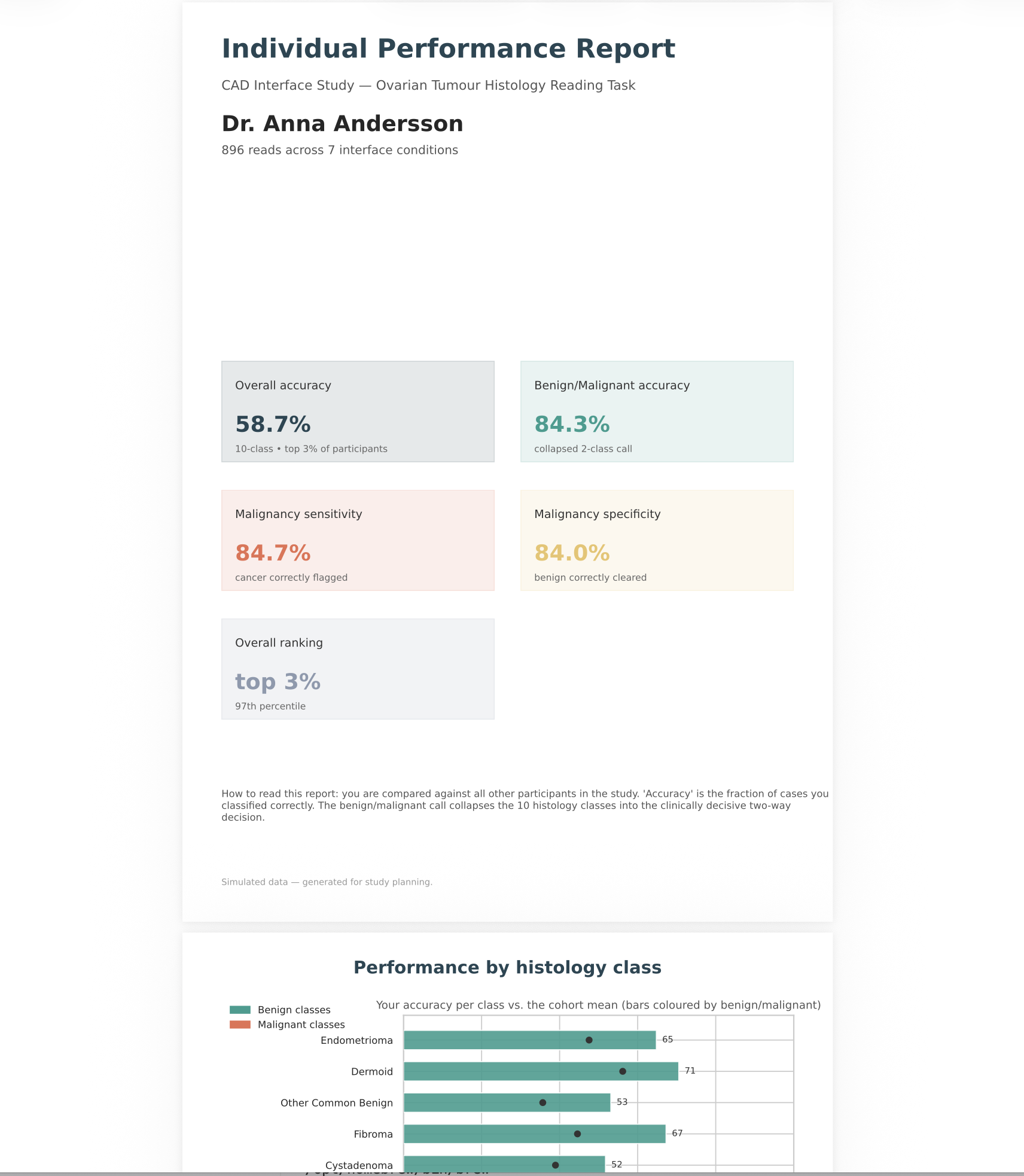 Example of a personalized classification performance report